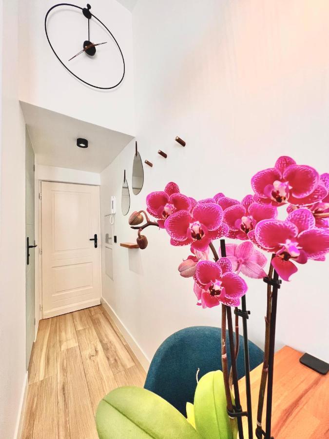 Duplex Le Gesu - Heart Of Old Town - Modern - Wifi - Clim Apartment Nisa Exterior foto